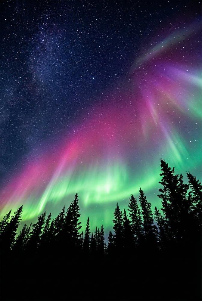 Cosmic Nexus