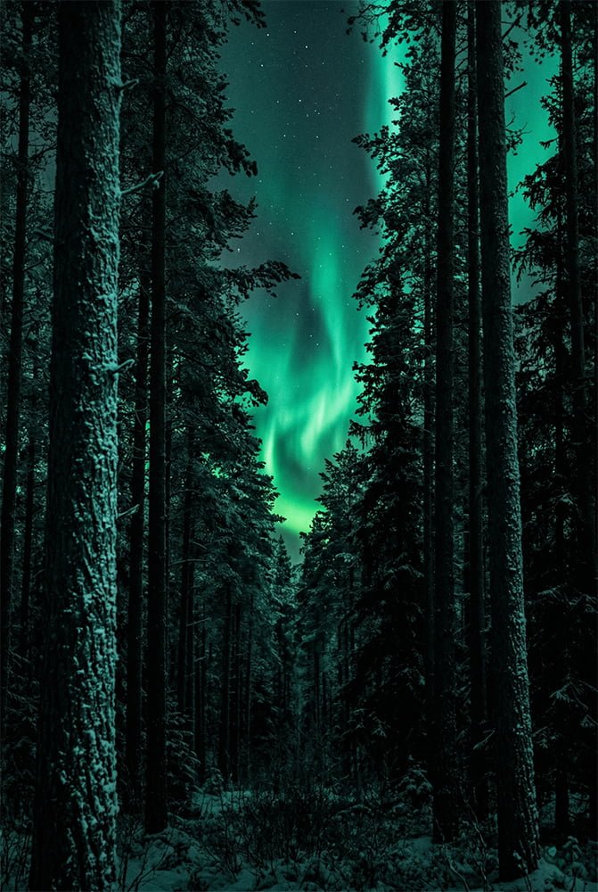 Emerald Corridor