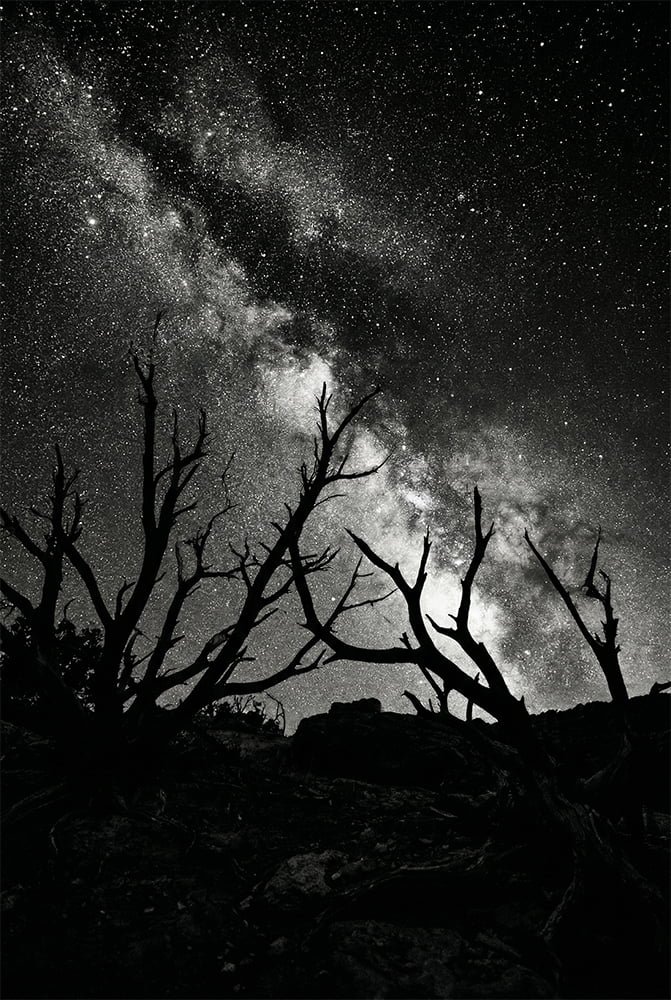 Shattered Cosmos