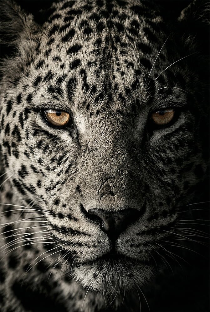 Sovereign