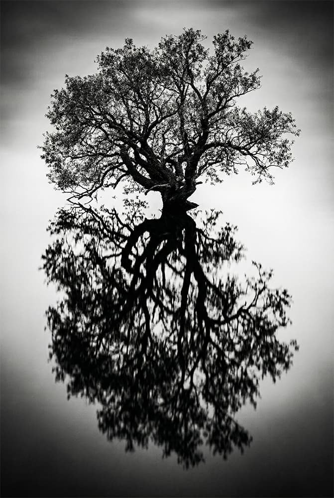 Mirrorbound
