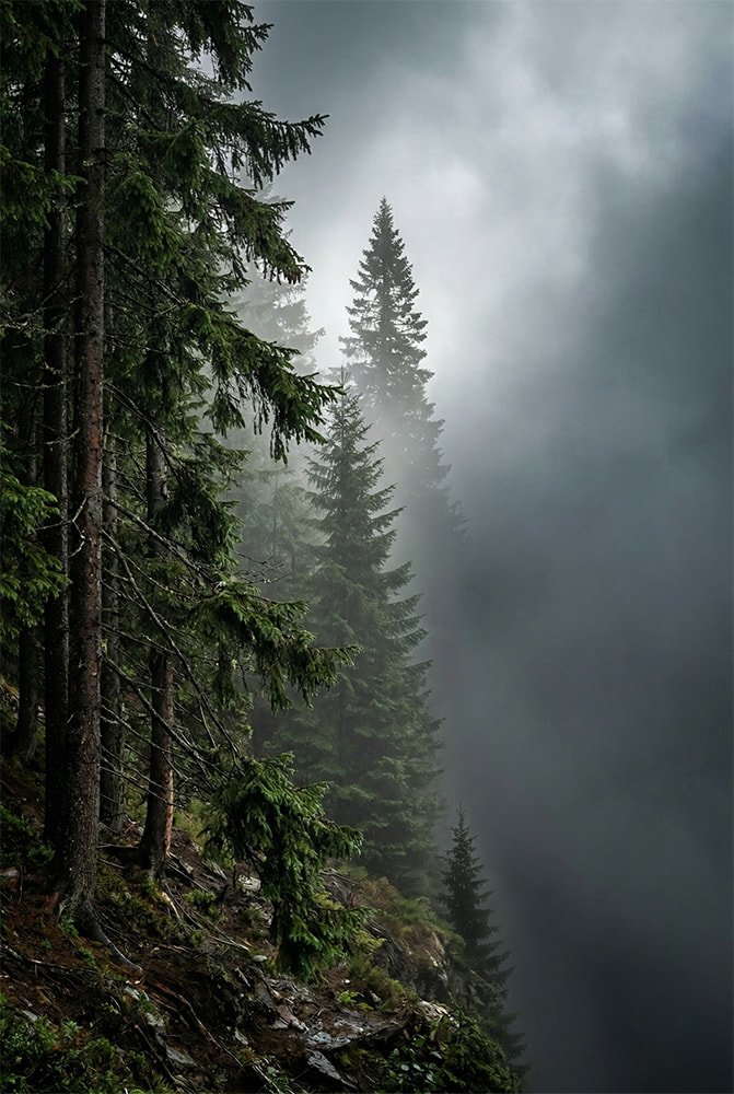 Quietude